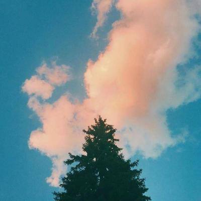 开元ky7818老版本app下载截图