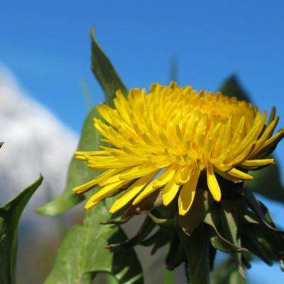 AG九游会手机app下载